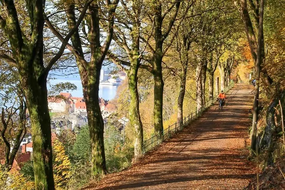 Dinbnb Apartments I Unique Opportunity I 350M To Bryggen I Quiet Bergen